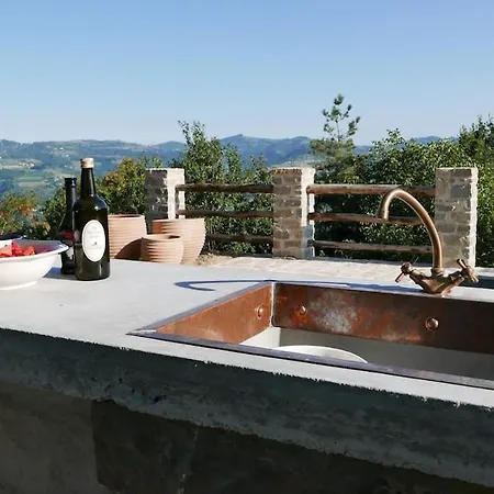 Luxury With Infinity Pool & Vineyard Views Bosia