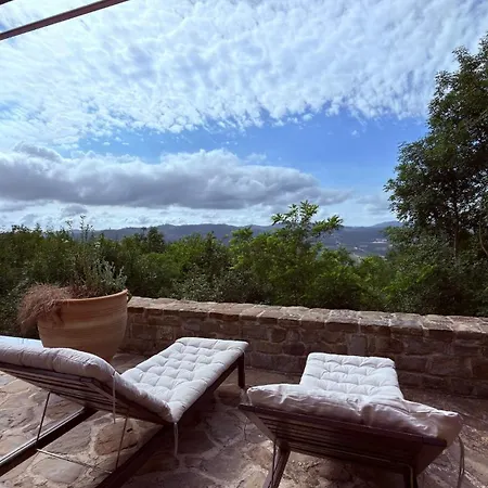 Luxury With Infinity Pool & Vineyard Views וילה *